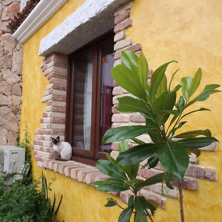 La Taverna Del Gufo Bed & Breakfast Sarule